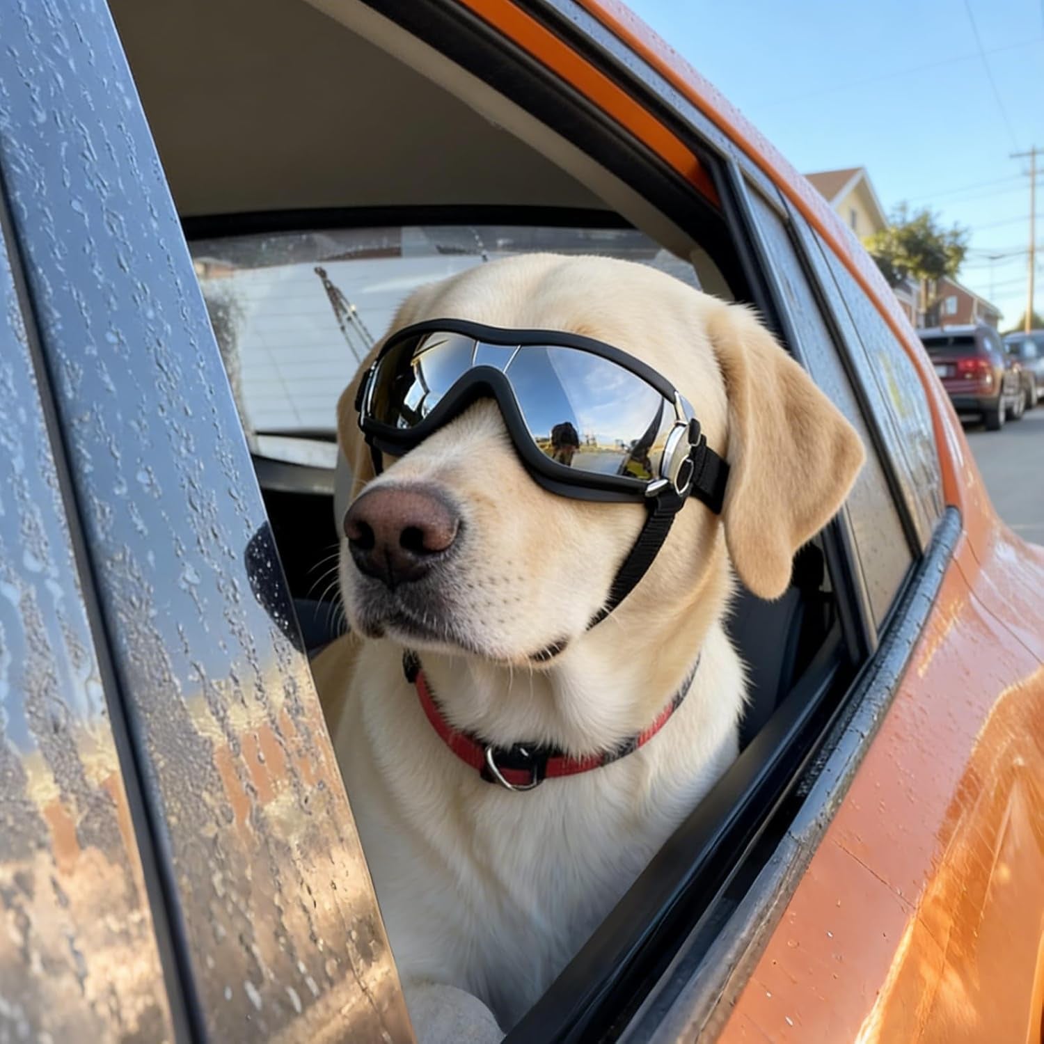 Dog Goggles Large Breed, Large Dog Sunglasses Eye Protection for Dogs Windproof Goggles for Medium Large Dog Riding Biking Driving, Black